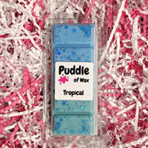 Tropical Wax Melts